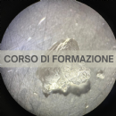 Nuovi strumenti per fronteggiare i fenomeni climatici estremi in vigneto