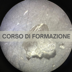 Nuovi strumenti per fronteggiare i fenomeni climatici estremi in vigneto
